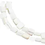 2 Strands Column Natural Trochus Shell Beads Strands
