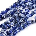 Natural Sodalite Chips Beads Strands