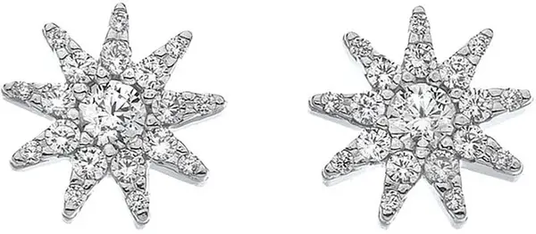 Hot Diamonds Třpytivé stříbrné náušnice Emozioni Stella EE037
