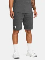 Pánské kraťasy Under Armour