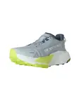 THE NORTH FACE Bežecká obuv 'Altamesa 500 V2'  sivá