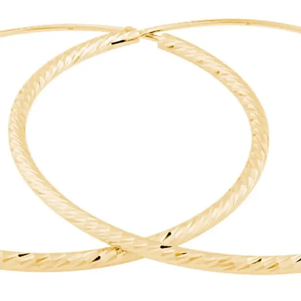 JVD Pozlátené náušnice kruhy SVLE0215XD5GO 3 cm