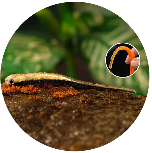 Redbass smáčik big snake bass - 20 cm 24,5 g