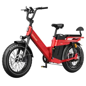 TESWAY X5 Pro Electric Bike 1000W 48V 60Ah Red