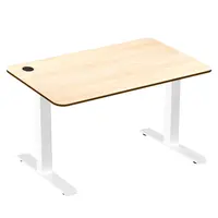 ACGAM JSZ-3 Height-Adjustable Standing Desk Frame White + Wood Desktop