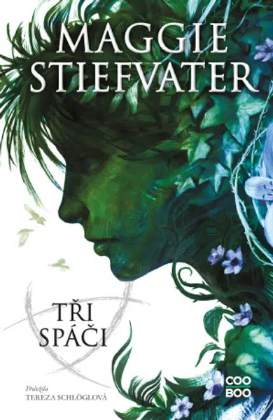 Tři spáči - Maggie Stiefvaterová - e-kniha