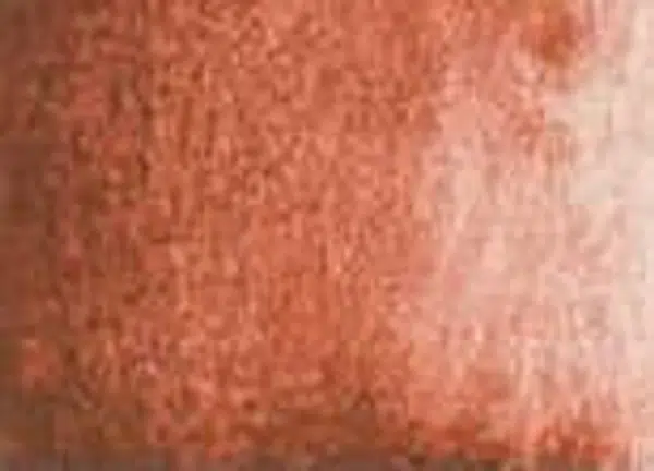Akvarelová barva DS 1/2 – 111 Venetian Red