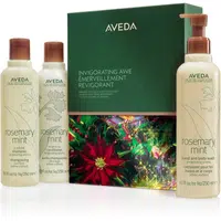 Aveda Holiday Invigorating Awe Rosemary Mint Hair & Body Essentials vianočná darčeková sada