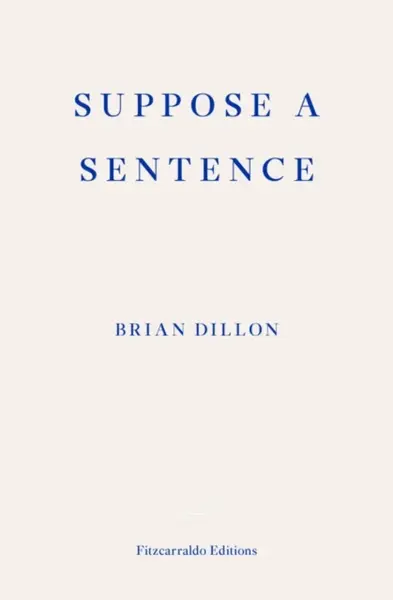 Suppose a Sentence - Brian Dillon