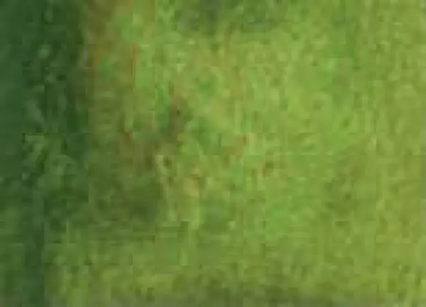 Akvarelová barva DS 15ml – 190 Serpentine Genuine