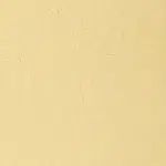 Olejová barva W&N Artists 37ml – 426 Naples Yellow Light