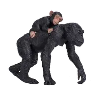 Šimpanz s mládětem