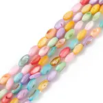 Natural Freshwater Shell Dyed Beads Strands