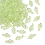 Transparent Acrylic Charms