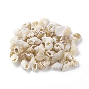 Spiral Shell Home Decorations