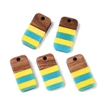 Epoxy Resin & Walnut Wood Pendants