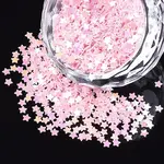 Shining Nail Art Glitter