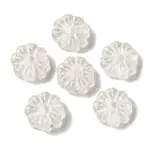 Transparent Lampwork Beads