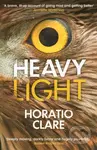 Heavy Light (A Journey Through Madness, Mania and Healing) - kniha z kategorie Psychologie