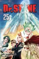Dr. STONE, Vol. 25 - Riichiro Inagaki