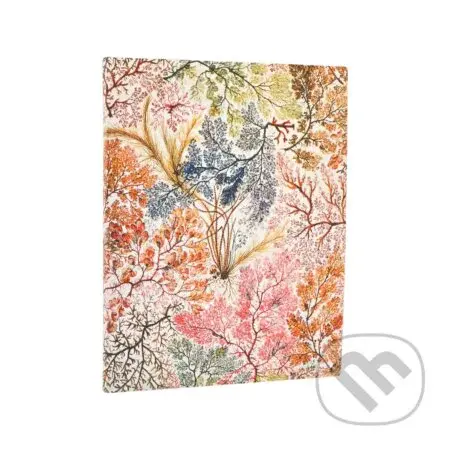 Paperblanks - business diár Anemone 2026 (flexi, ultra, elastické zatváranie)