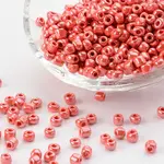 6/0 Glass Seed Beads
