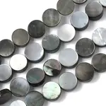 Natural Black Lip Shell Beads Strands