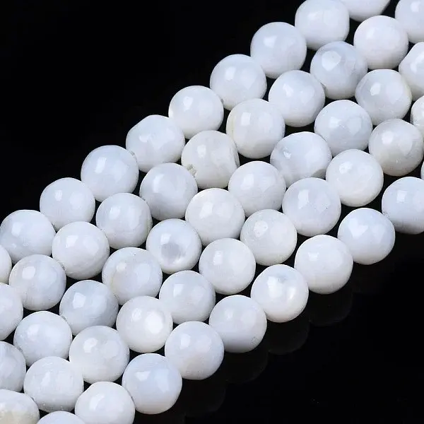 Natural Freshwater Shell Beads Strands