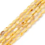 Natural Freshwater Shell Dyed Beads Strands