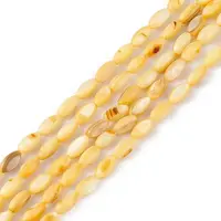 Natural Freshwater Shell Dyed Beads Strands