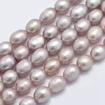 Natural Cultured Freshwater Pearl Beads Strands