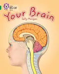 Your Brain - Sally Morganová
