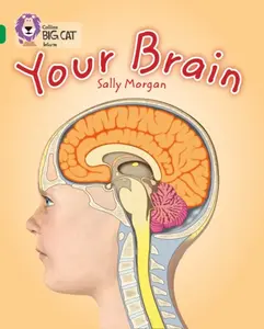Your Brain - Sally Morganová