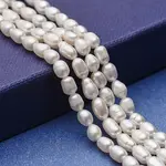 Natural Cultured Freshwater Pearl Beads Strands