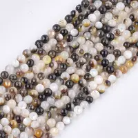 Black Lip Shell Beads Strands