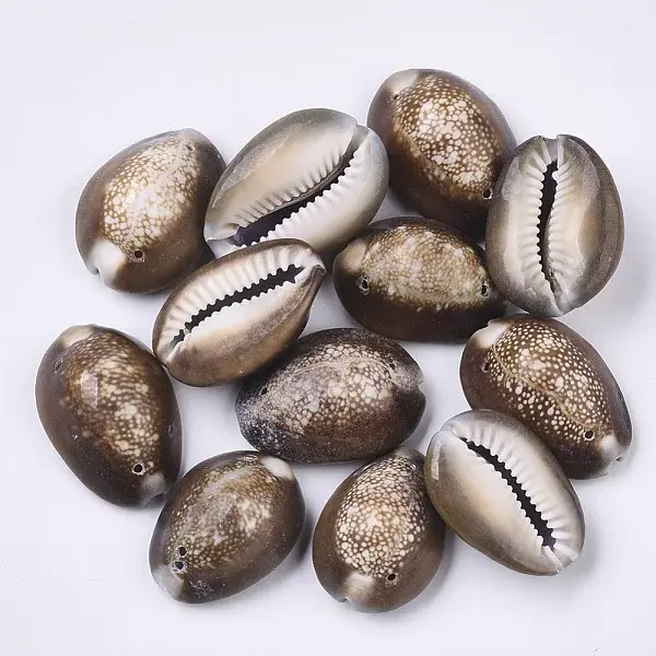 Natural Cowrie Shell Links connectors