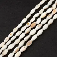 Natural Freshwater Shell Dyed Beads Strands