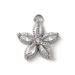 Brass Micro Pave Cubic Zirconia Charms