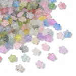 Plastic Two-tone Beads