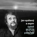 Jan Spálený & ASPM: Úplně šedivej panáček - Jan Spálený & ASPM