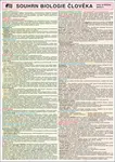 SOUHRN BIOLOGIE ČLOVĚKA pro SŠ A4 - Pešková Vlastimila