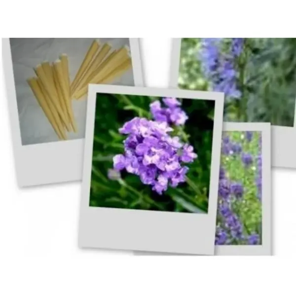 Telové sviečky levanduľové 5ks