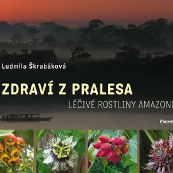Zdraví z pralesa - Škrabáková Ludmila