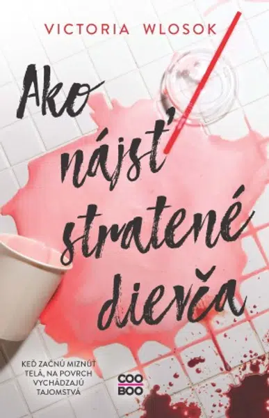 Ako nájsť stratené dievča - Victoria Wlosok - e-kniha