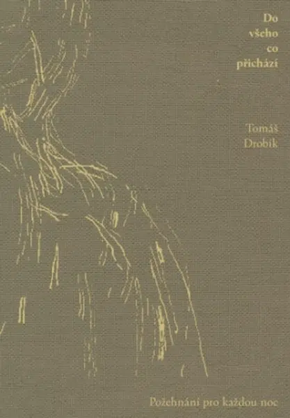 Do všeho co přichází - Jindra Viková, Tomáš Drobík