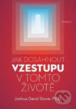 Jak dosáhnout vzestupu v tomto životě (Kompletní průvodce vzestupem) - kniha z kategorie Spiritualita