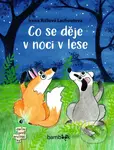 Co se děje v noci v lese - Irena Lachoutová Ričlová - kniha z kategorie Pro děti