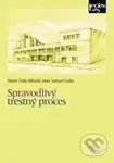 Spravodlivý trestný proces - Maroš Čelár, Mikuláš Lévai, Samuel Csóka - kniha z kategorie Právo