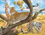Leopard FH8 - puzzle z kategorie Naučné puzzle