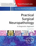 Practical Surgical Neuropathology: A Diagnostic Approach - kniha z kategorie Medicína